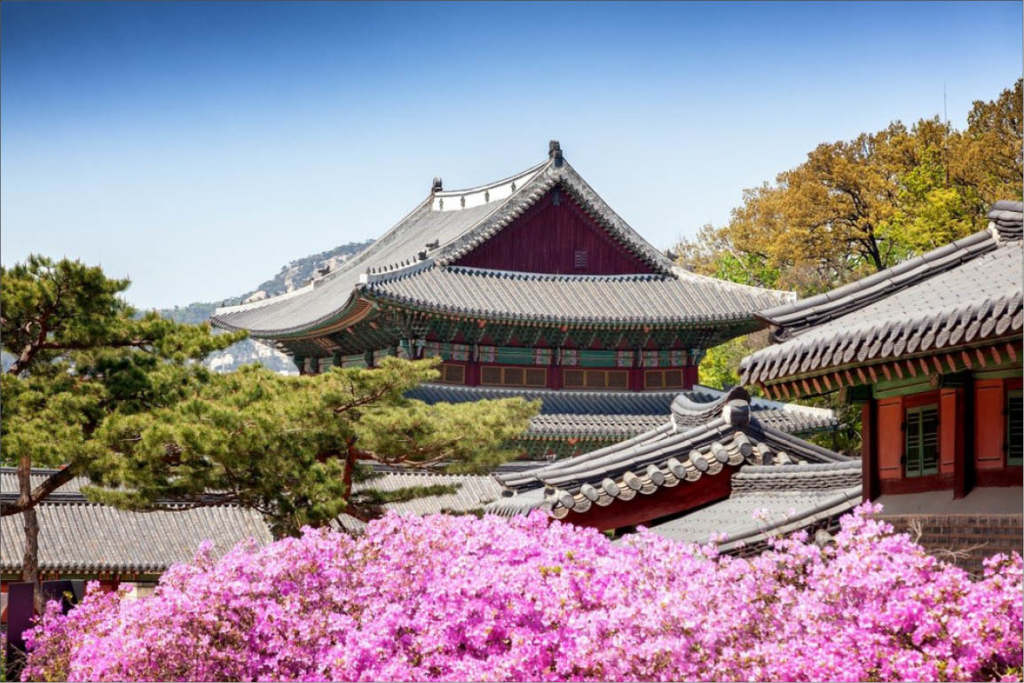 (Seoul) Cẩm nang khám phá Cung điện Hoàng gia
