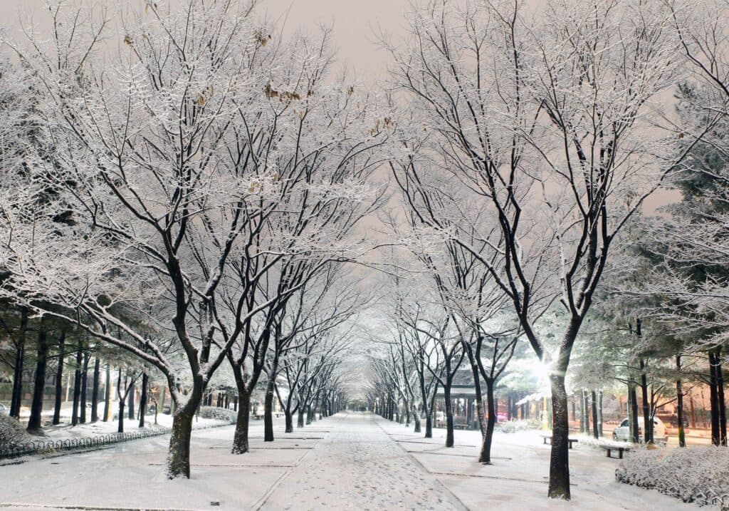 (Du lịch) Hàn Quốc tháng 12 &#8211; khám phá xứ sở Kim Chi mùa tuyết trắng