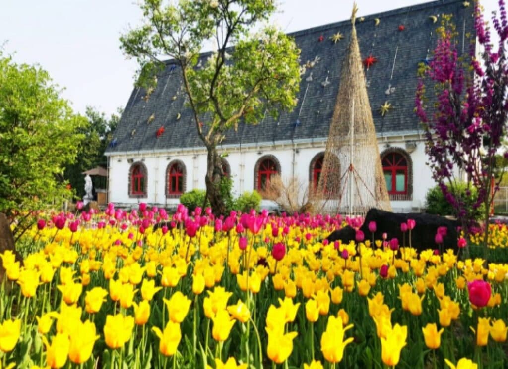 (Khám phá Hàn Quốc) Tận hưởng bầu không khí mùa xuân với Lễ hội hoa Tulip!