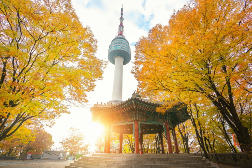 (Seoul) 5 địa điểm ngắm lá vàng Hàn Quốc nổi tiểng tại thủ đô