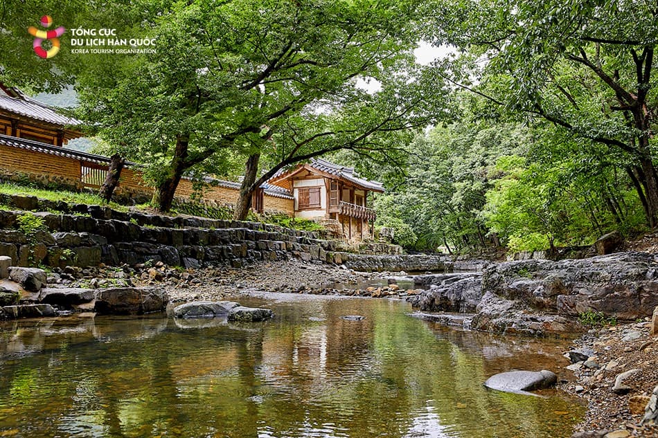 (Gyeongju) Chiêm ngưỡng vẻ đẹp của thung lũng giữa thiên nhiên yên bình