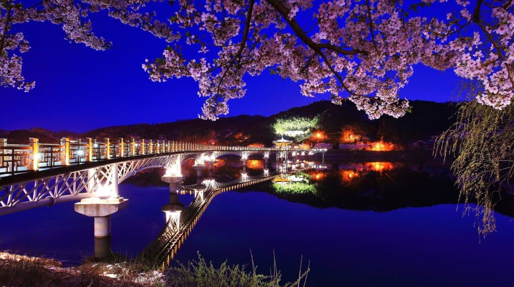 (Hàn Quốc về đêm) Các thành phố du lịch khu vực Chungcheong và Gyeongsang