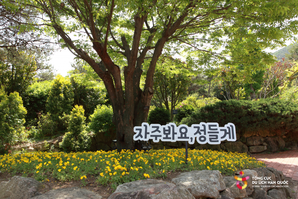 (Daegu) Hòa mình vào thiên nhiên ở Nature Park