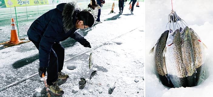 (Trải nghiệm) Tạm biệt cái lạnh tại lễ hội câu cá hồi trên băng Hwacheon Sancheoneo