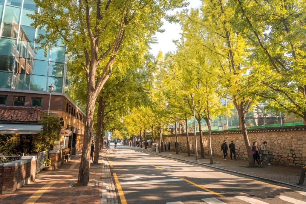 (Seoul) Dạo bộ và lắng nghe khúc ca mùa xuân trên những cung đường đẹp nhất Thủ Đô