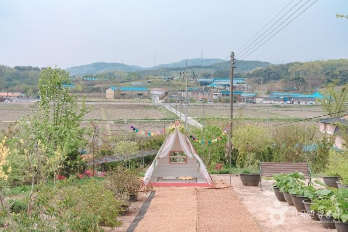 (Trải nghiệm) Chuyến dã ngoại tại vườn táo Nông trại Yesan Doldari, tỉnh Chungcheong Nam