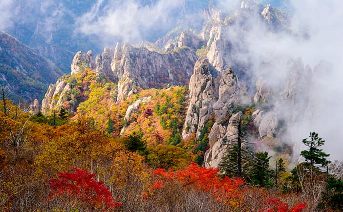 (Khám phá Hàn Quốc) 5 địa điểm thưởng ngoạn lá đỏ mùa thu đẹp nhất tại Hàn Quốc