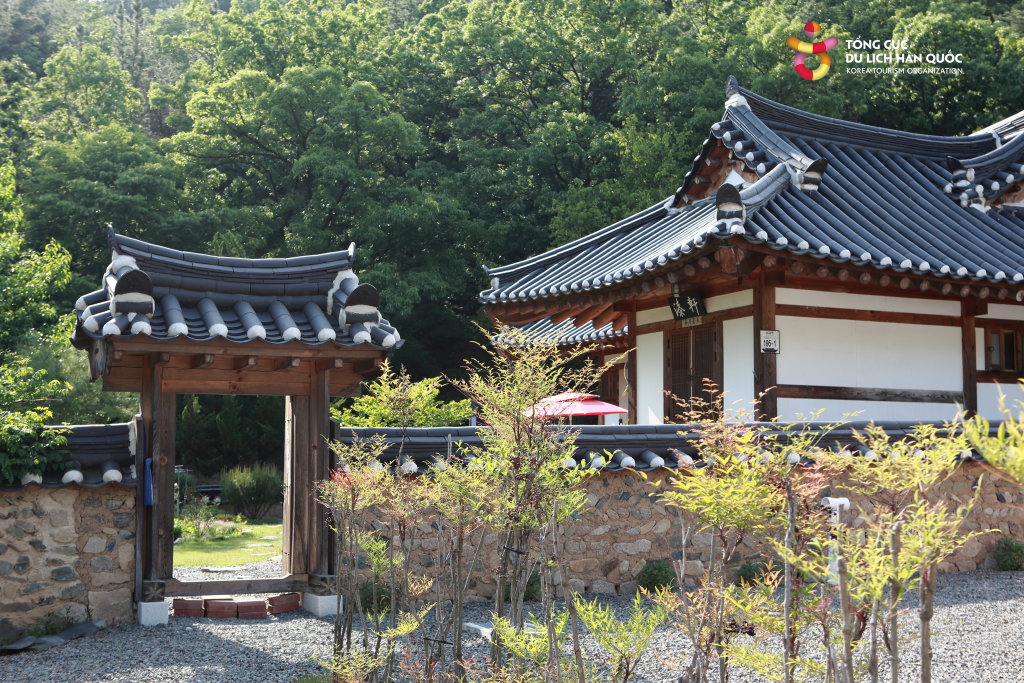 (Daegu) Đến Daegu trải nghiệm nhà Hanok 400 tuổi