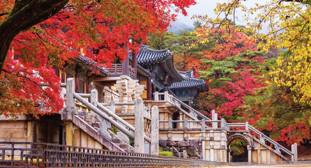 (Kyungbuk) Điểm ngắm lá mùa thu ở Kyungju mà chỉ mình tôi muốn biết 4