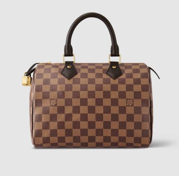 [LUXURY BRAND] LV Speedy 25 Damier Ebene