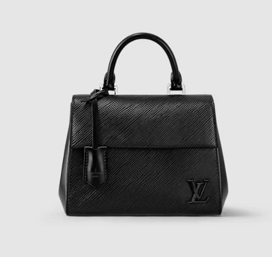 [LUXURY BRAND] LV Cluny Mini Epi Black