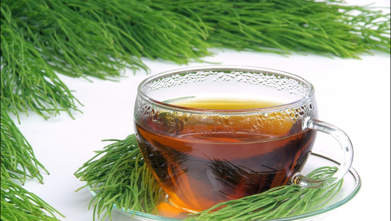 (Q&A) TRÀ LÁ THÔNG CÓ CAFFEINE KHÔNG?