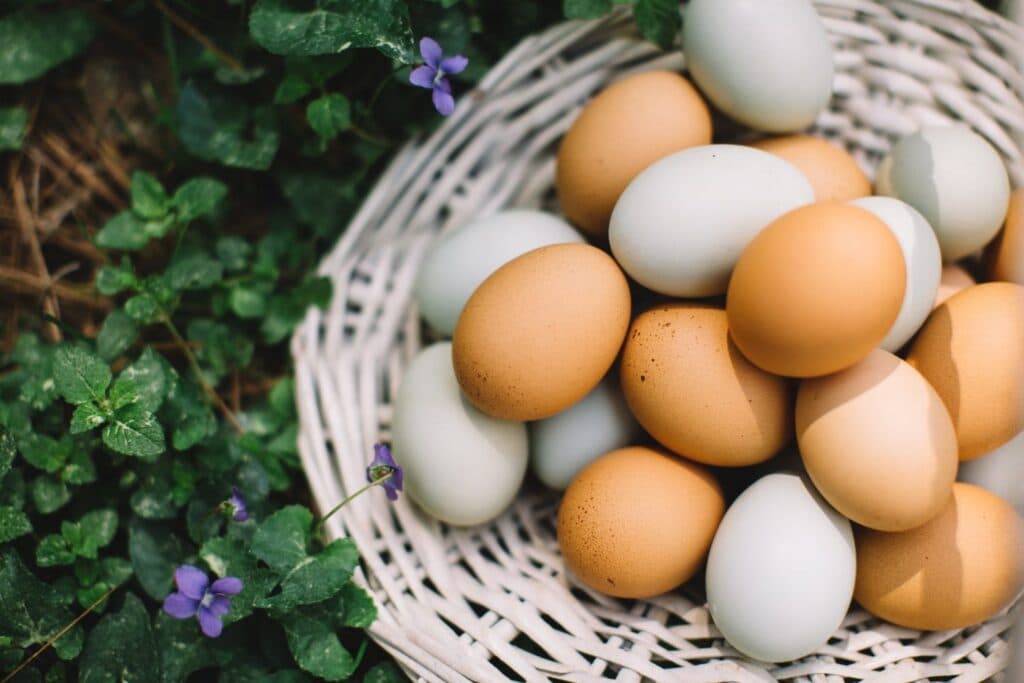 Trứng Luộc Hay Trứng Nướng Tốt Cho Sức Khỏe Hơn?