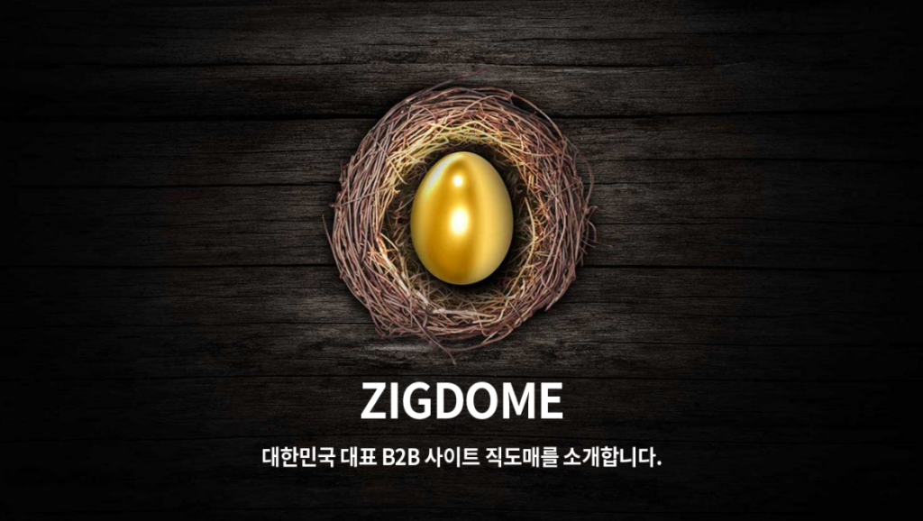 Zigdome: Điểm Đến Thông Minh Cho Mua Sắm Bán Sỉ Và Lẻ Tại Hàn Quốc