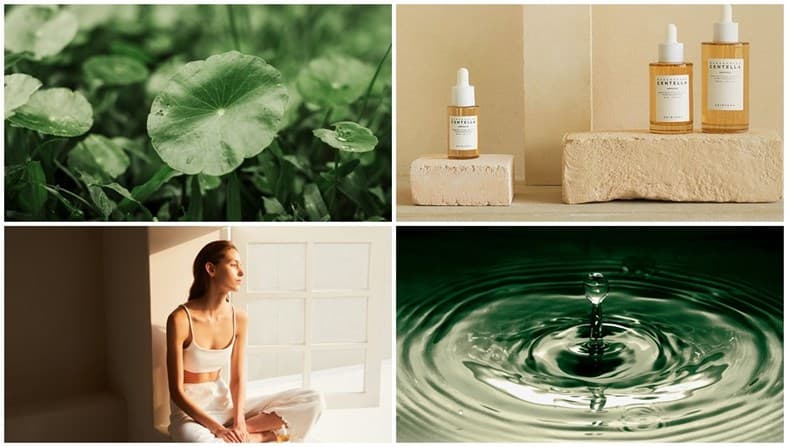 Skin1004: Sức Mạnh Tự Nhiên từ Rau Má Madagascar Cho Làn Da Hoàn Hảo