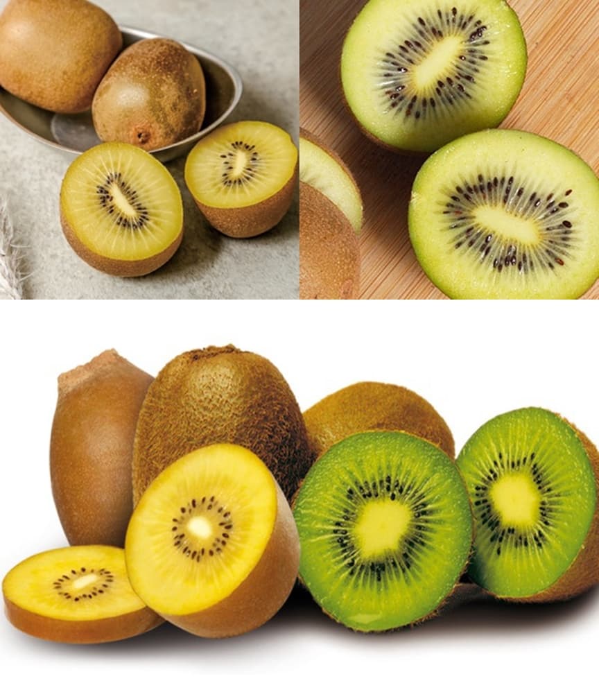 Tác Dụng Tuyệt Vời Đối Với Sức Khoẻ & Sự Khác Biệt Giữa Kiwi Xanh – Kiwi Vàng