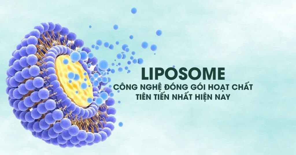 (Q&A) VITAMIN C LIPOSOMAL LÀ GÌ? CÓ GÌ KHÁC BIỆT VỚI VITAMIN C THÔNG THƯỜNG