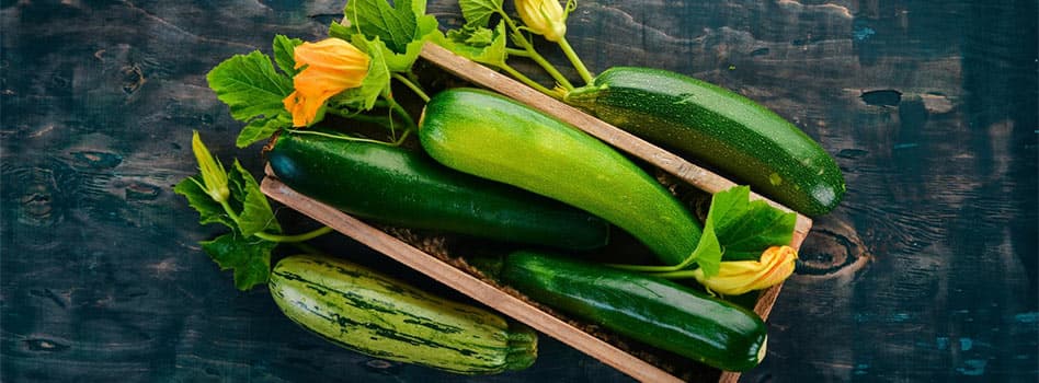 Sức Mạnh Của Thực Phẩm Năng Lượng Âm Trong Việc Giảm Cân