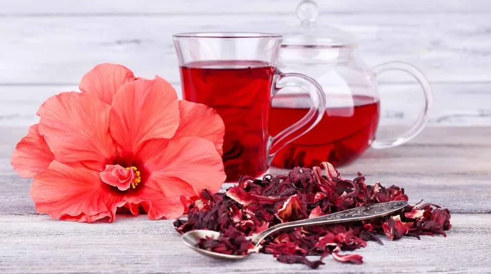 Những Lợi Ích Của Trà Hibiscus