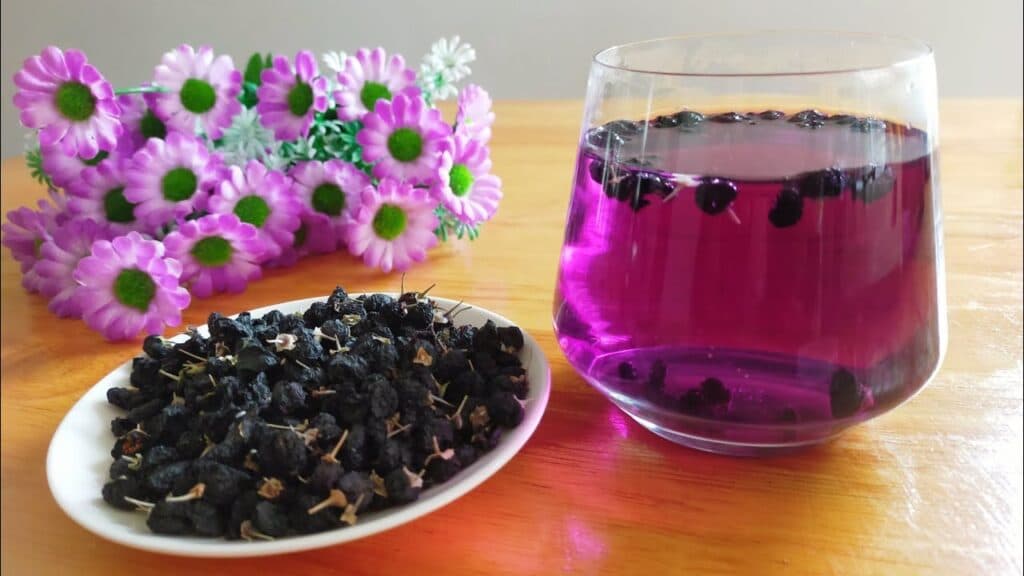 (Q&A) TRÀ HẮC KỶ TỬ LÀ GÌ? VÀ CÔNG DỤNG CỦA NÓ?