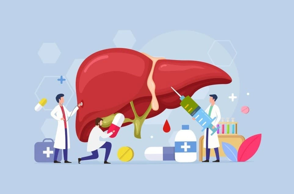 Thói Quen Ăn Uống Ảnh Hưởng Đến Nồng Độ Gan