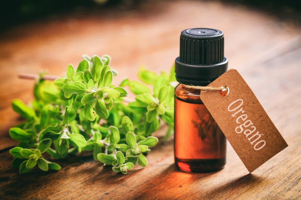 (Q&A) LỢI ÍCH VÀ TÁC DỤNG PHỤ CỦA DẦU OREGANO