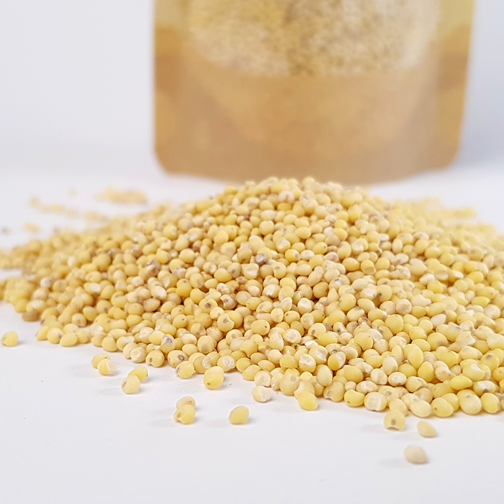 (Q&A) SỰ KHÁC BIỆT GIỮA KÊ VÀNG VÀ KÊ PROSO