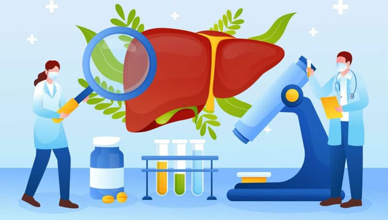 Các Triệu Chứng Khi Chức Năng Gan Kém