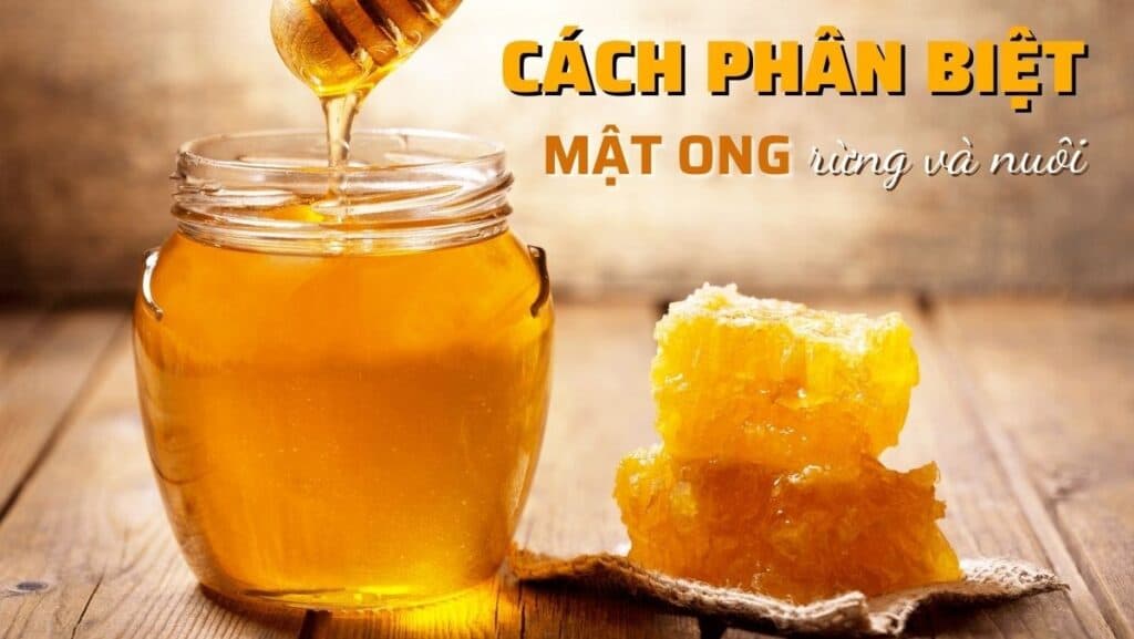(Q&A) Phân Biệt Mật Ong Rừng Tự Nhiên Và Mật Ong Nuôi: Nhận Biết Và Đặc Điểm Khác Biệt
