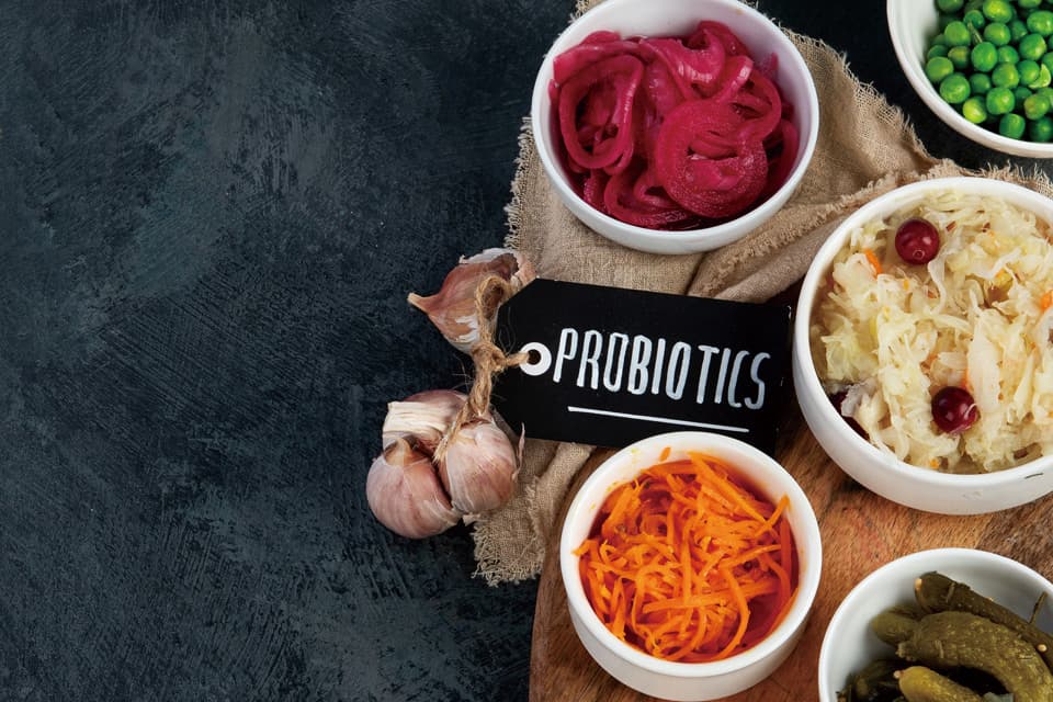 Vi Khuẩn Axit Lactic: Vai Trò Quan Trọng Trong Sức Khỏe Đường Ruột