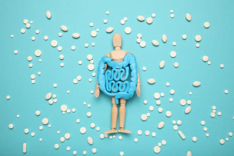 Đường Ruột Khỏe Mạnh – Chìa Khóa Để Kéo Dài Tuổi Thọ