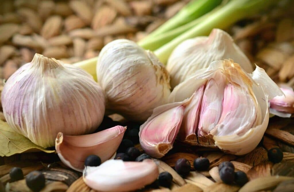 Tỏi: Siêu Thực Phẩm Và Vấn Đề Sức Khỏe (I)