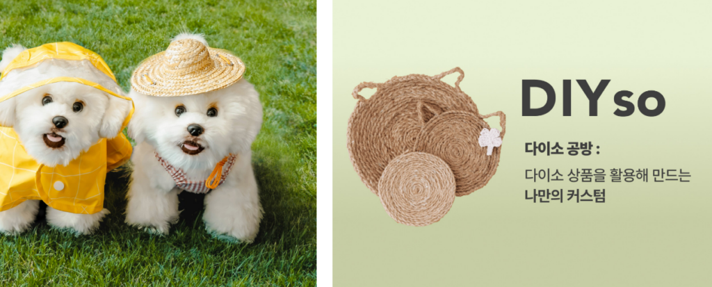 Daiso Mall Hàn Quốc: Thiên Đường Mua Sắm Trực Tuyến Với Giá Rẻ