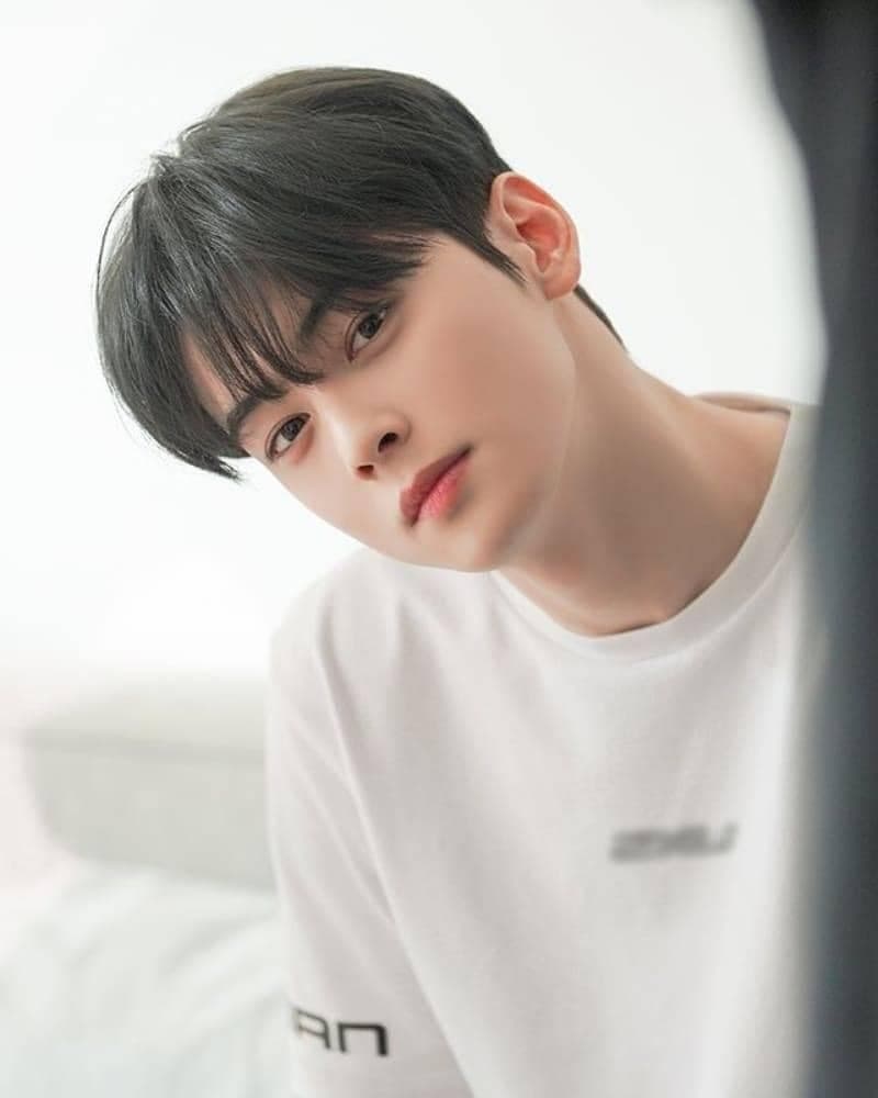 Cha Eun Woo Thắp Sáng Nhật Bản Với Buổi Fancon Encore “Mystery Elevator”