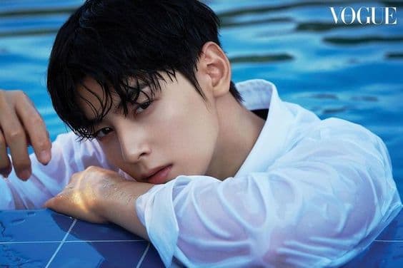 Cha Eun Woo & ngôi sao Hollywood dự kiến góp mặt tại Waterbomb Seoul 2024